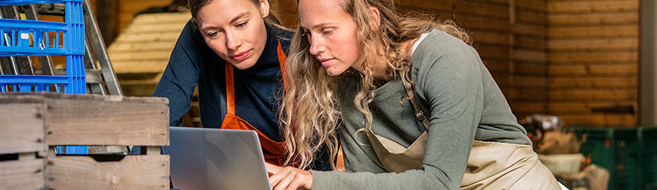 Online Banking Firmenkunden Vr Bank Lausitz Eg